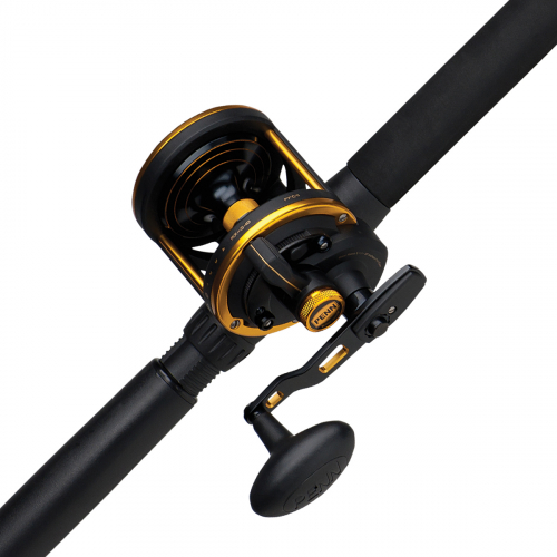 PENN Squall Lever Drag Combo 40