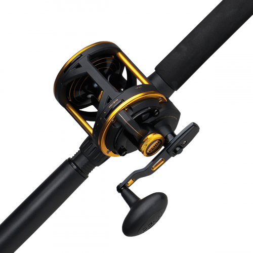 PENN Squall Lever Drag Combo 50