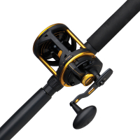 PENN Squall Lever Drag Combo 60