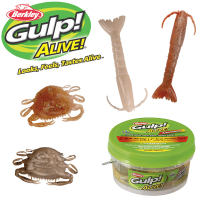 Berkley Gulp Alive 3in Shrimp 2in Peeler Crab Assortment Pint Bucket