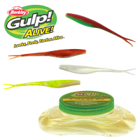 Berkley Gulp Alive Jerk Shad 4x7 Pint Bucket