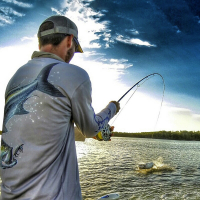 Fly Reels