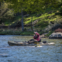 Spinning Rods