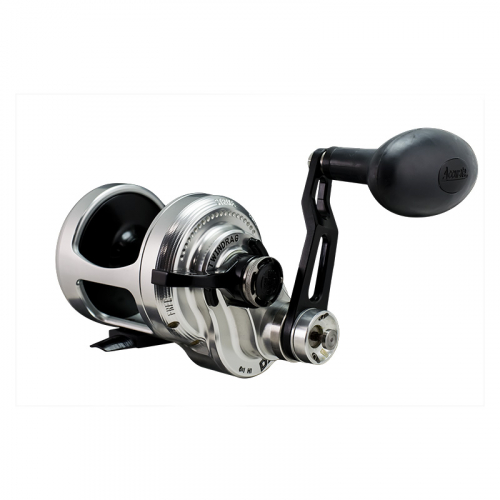 Accurate Dauntless Two Speed Baitcasting Reel Dx2-500bs