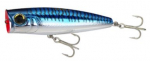 BLUEMACKEREL