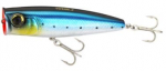SARDINE