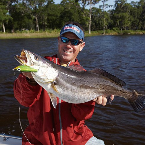 PAUL BROWN FAT BOY SUSPENDING TWITCHBAIT TROUT