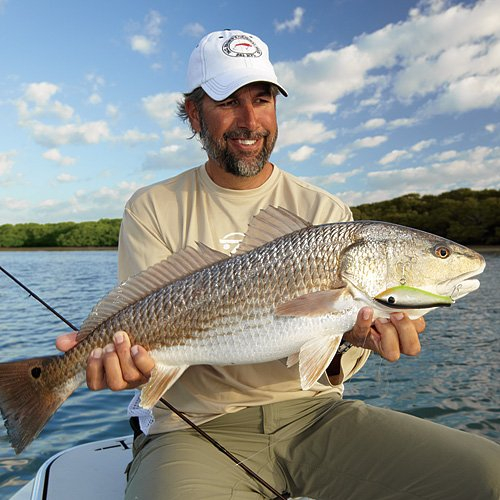 PAUL BROWN FLOATING FAT BOY SUSPENDING TWITCHBAIT REDFISH