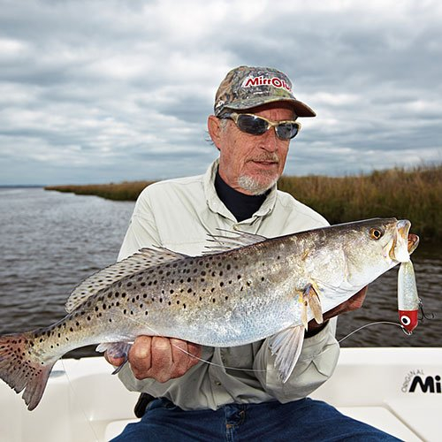 Speckled trout caught on Paul Brown Soft Dog Topwater