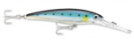 BLUESARDINE