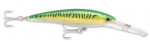 GOLDGREENMACKEREL
