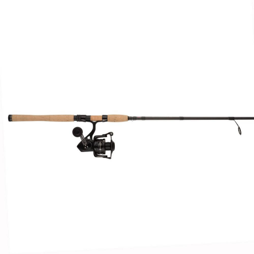 PENN CONFLICT II COMBO CFTII5000 2018