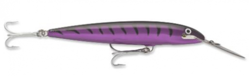 PURPLEMACKEREL