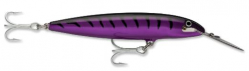 PURPLEMACKEREL