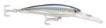 SPOTTED MINNOW