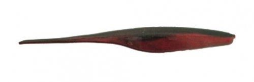 REDSHAD