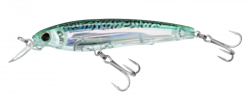 R1410-HGM-GREENMACKEREL