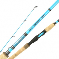 Black Hole Charter Special Inshore/Slow Pitch Jigging Rods