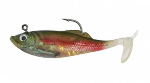 RAINBOWTROUT6IN