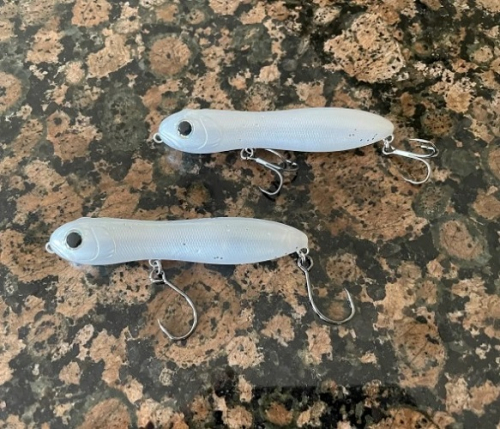 GLASSMINNOW