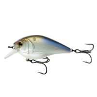 100X-4K SHAD