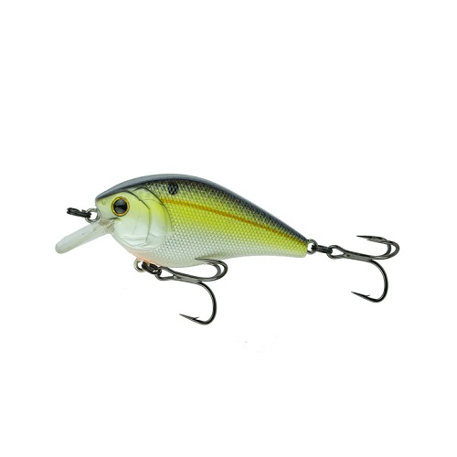 50X-SEXIFIED CHARTREUSE SHAD