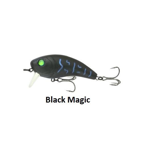 80WK BLACK MAGIC