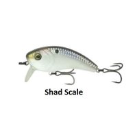 SHAD SCALES