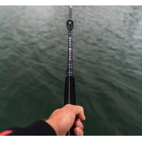 Daiwa Darkwater Rods