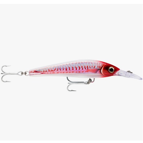 Rapala X-Rap Magnum Xtreme Lure - 160mm