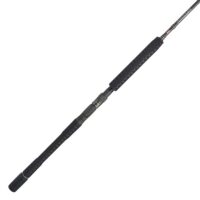 Black Hole Charter Special Inshore/Slow Pitch Jigging Rods